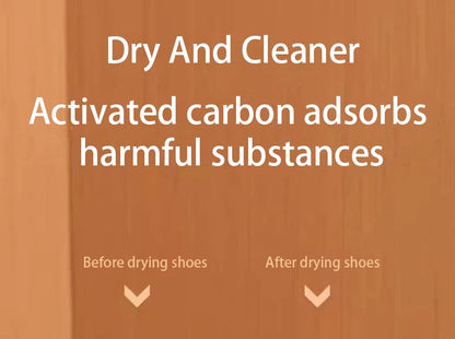 Portable Electric Shoe Dryer Deodorizer