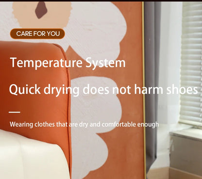 Portable Electric Shoe Dryer Deodorizer