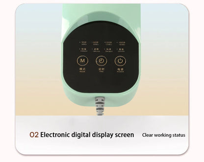 Portable Electric Shoe Dryer Deodorizer