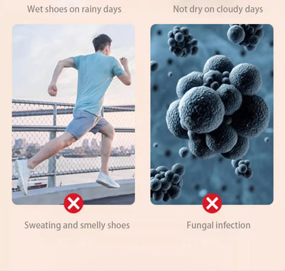 Portable Electric Shoe Dryer Deodorizer