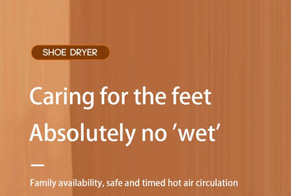 Portable Electric Shoe Dryer Deodorizer