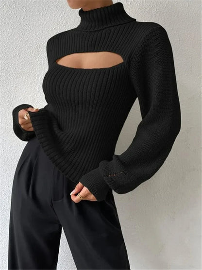 Women’s Hollow Out Turtleneck Sweater